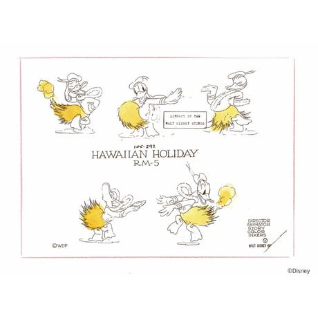 DISNEY HAWAIIAN HOLIDAY / PORTER CLASSIC HAWAI'I ALOHA COLLECTION  / ALOHA BLOUSE