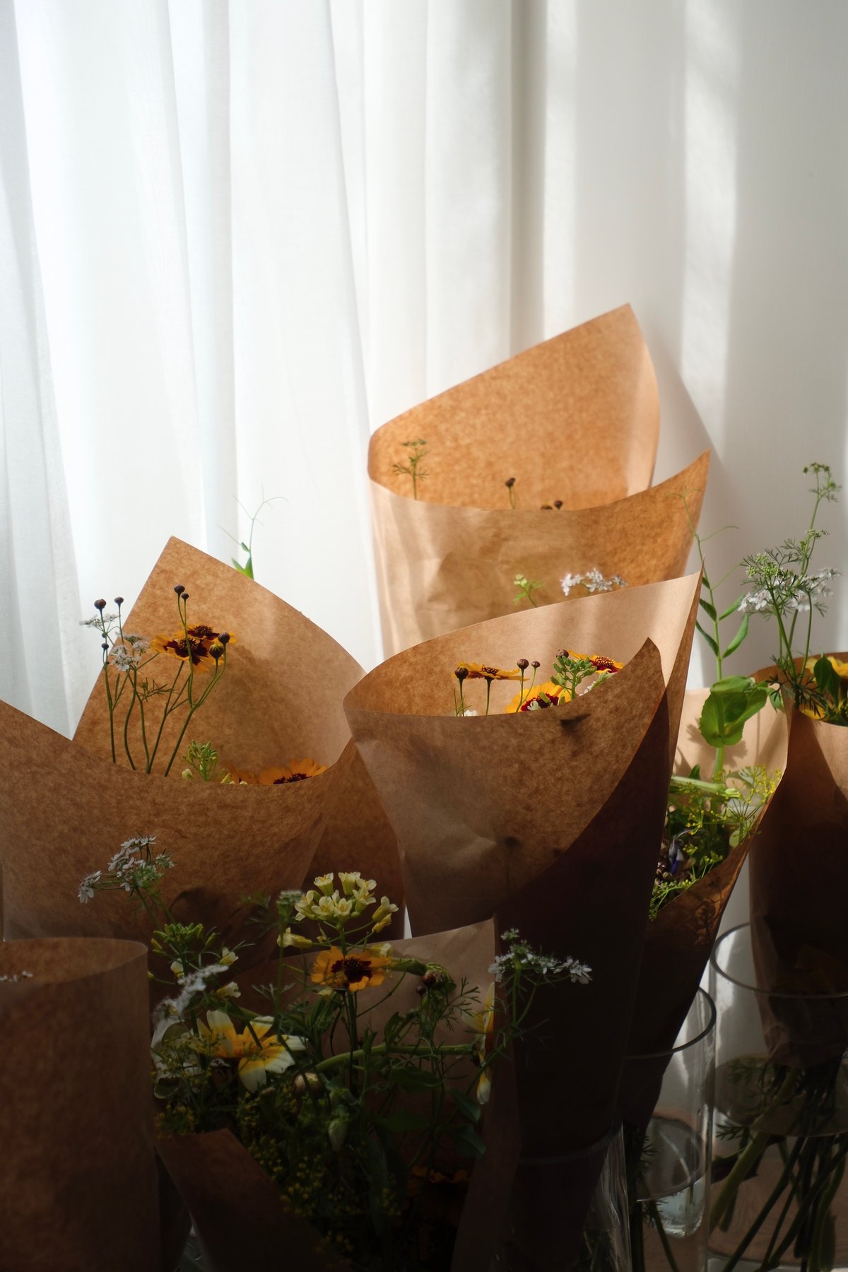 花 | 月2回お届け（自社配達・送料無料） | 桜山植物園 Sakurayama