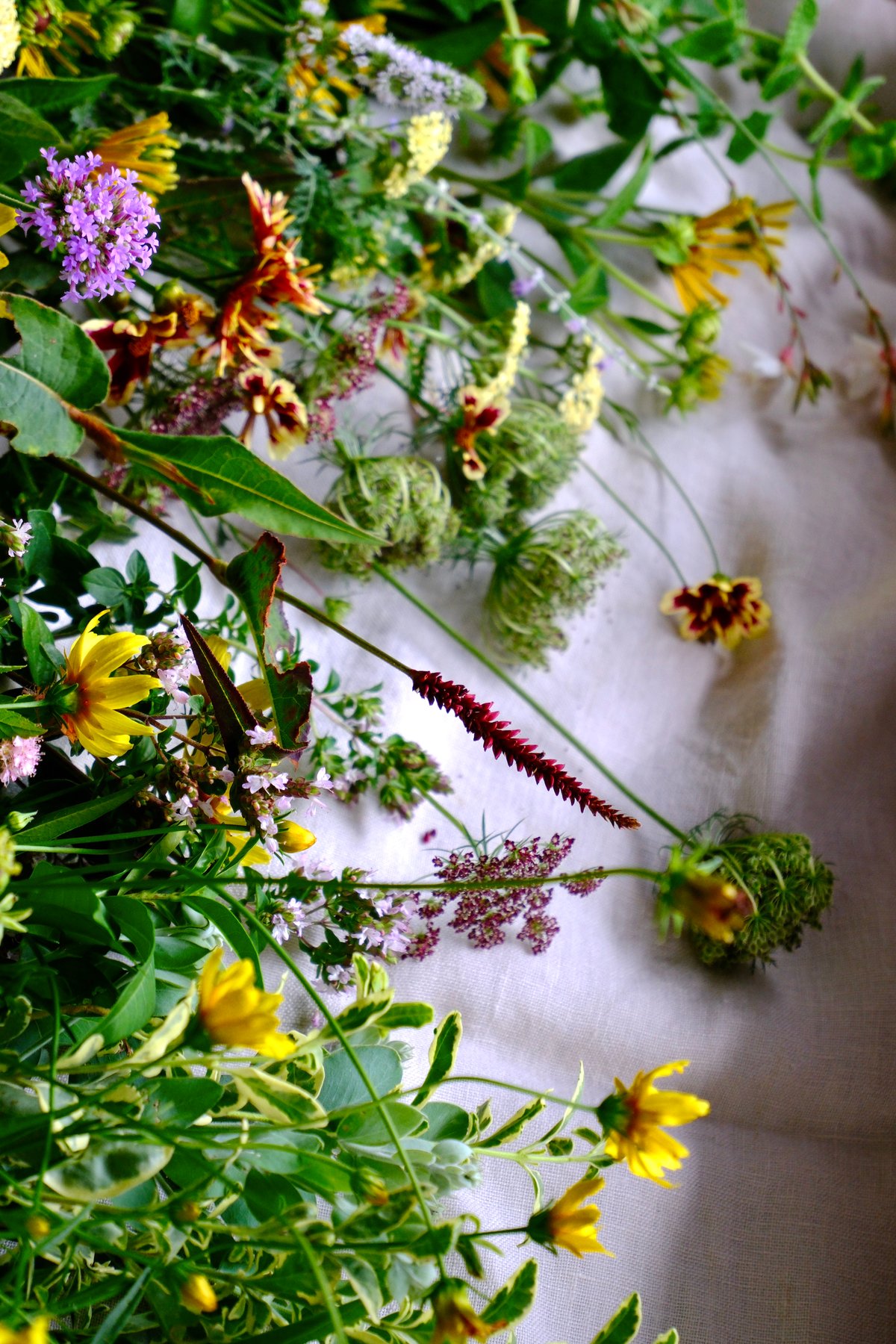 花 | 月2回お届け（自社配達・送料無料） | 桜山植物園 Sakurayama