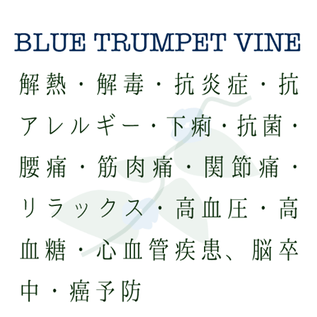 BLUE TRUMPET VINE [Teabag15bags]