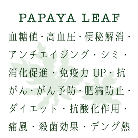 PAPAYA LEAF [Tea leaf 30g]