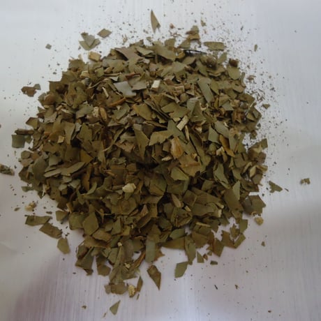 入荷しました。　ウラジロガシ　400ｇ　1包8ｇ