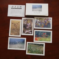 ポストカード【SeasonSelection vol.3 小さな秋】