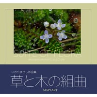 【書籍写真集】写真集・草と木の組曲