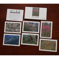 ポストカード【SeasonSelection vol.9 梢の饗宴】