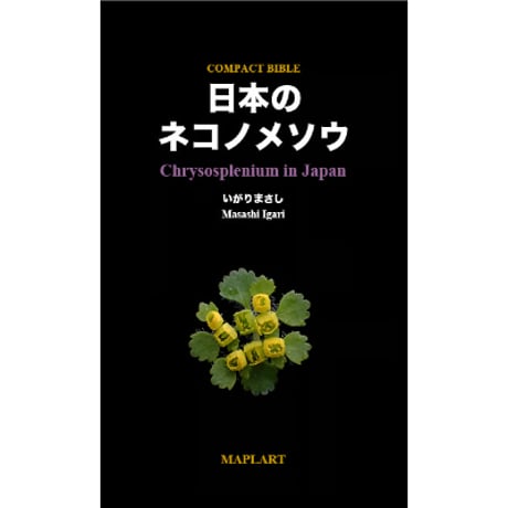 COMPACT BIBLE 日本のネコノメソウ