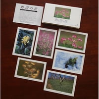 ポストカード【SeasonSelection vol.5 野辺の花】