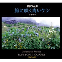 風の花II  旅に咲く青いケシ　-山下順子著-