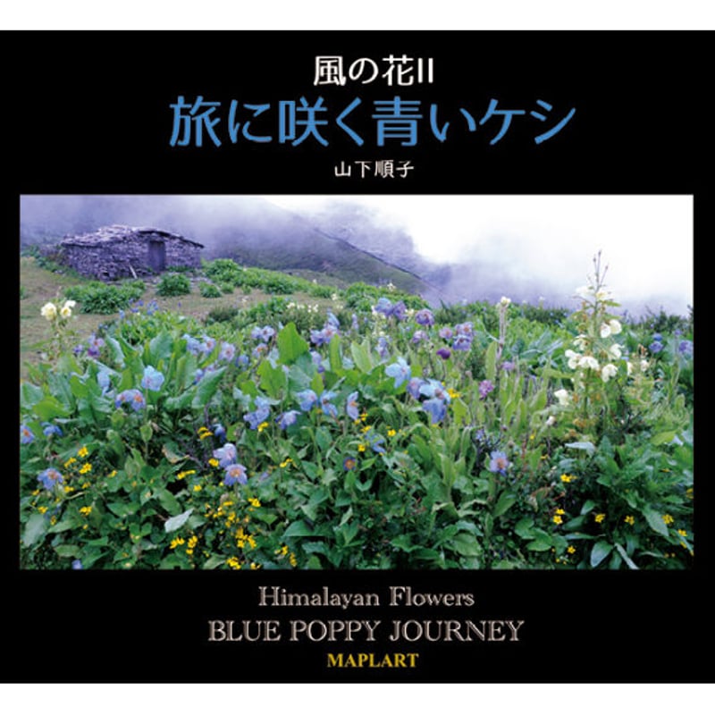 風の花II 旅に咲く青いケシ -山下順子著- | MAPLART