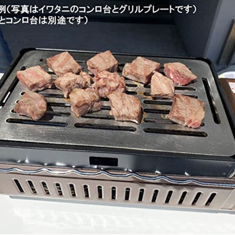 イワタニ 炉端焼き器 炙りや 鉄板 ステンレス製 網 バーベキュー 5mm