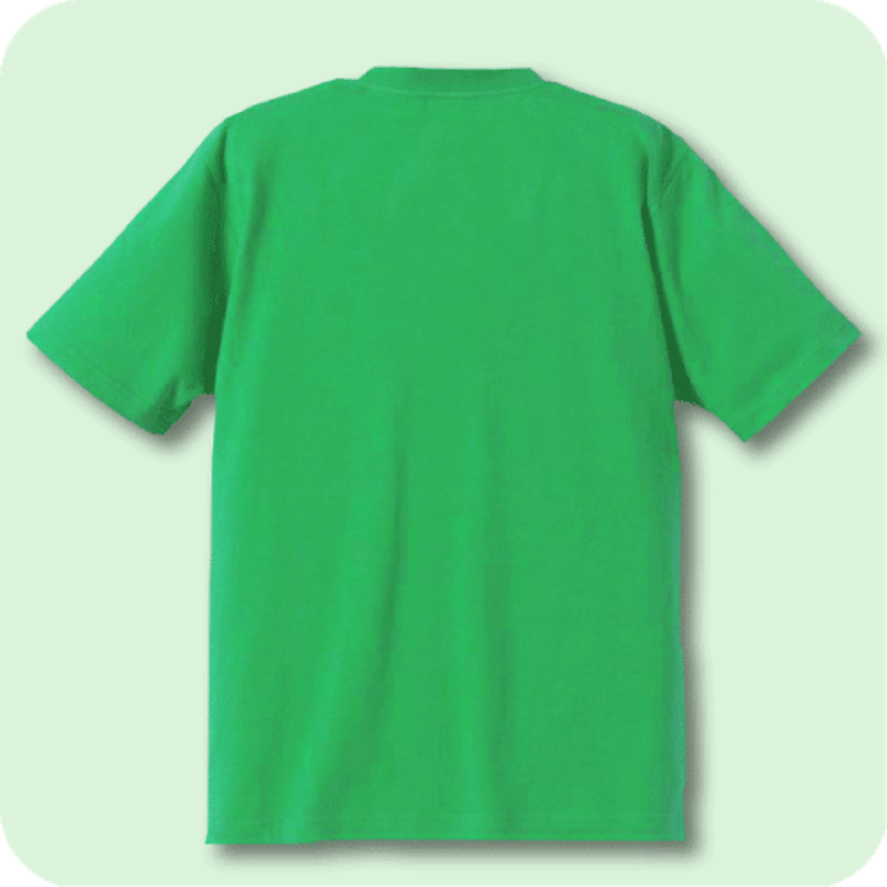 The MINT 