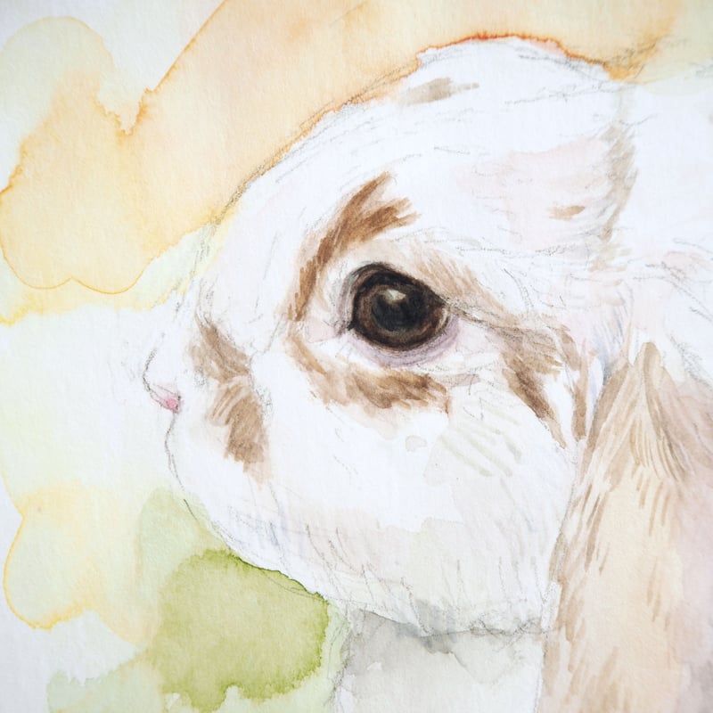 オーダー受付 ペットの似顔絵（オーダーメイド】ペットちゃんの