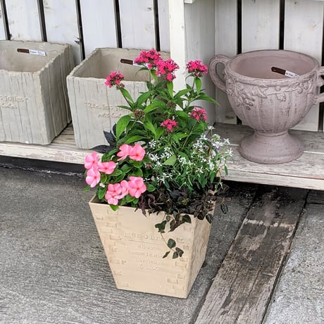 （スタッフ手渡し配送）季節の寄せ植えspecial
