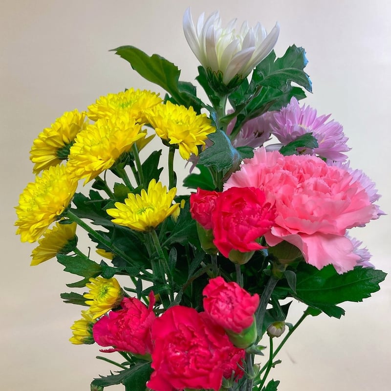 お墓参り生花対 | 立花ガーデン フラワーショップ 公式通販 お墓参り生花対 | 立花ガーデン フラワーショップ 公式通販