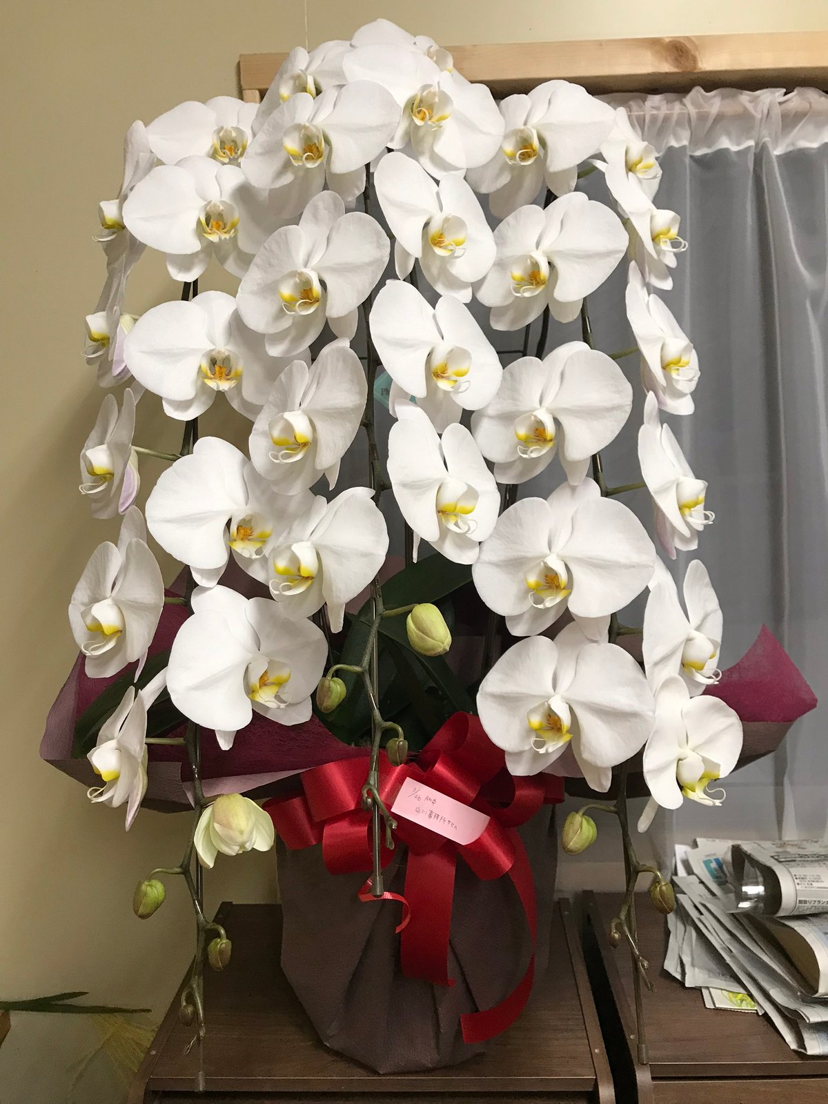 Sarah Negishi③花山椒300g クール便　奈良県奥吉野産 奈良県吉野産の花山椒