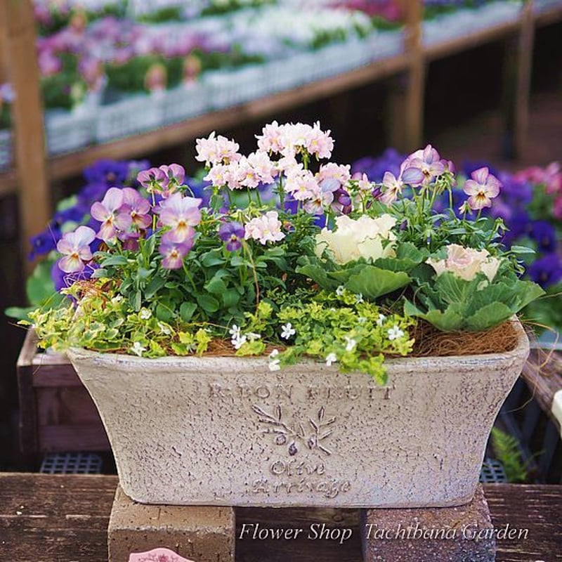 季節のお花寄せ植え  グラスファイバー 心に寄り添う 寄せ植え アンティーク調クロック グラス