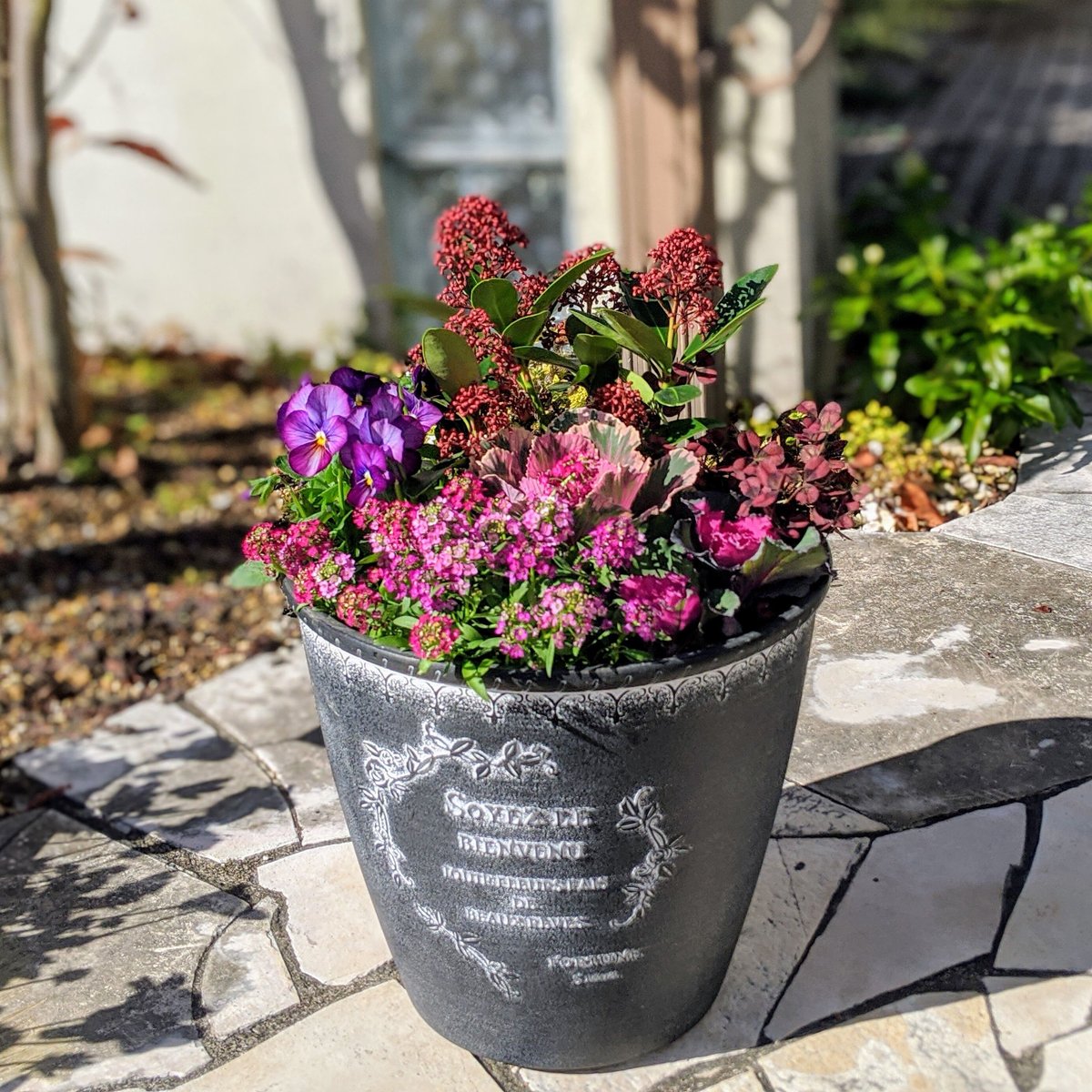 No.343　345 　you　2個セット　寄せ植え　花 No.343 345 you 2個セット 寄せ植え 花 寄せ植え 花 春の寄せ植え