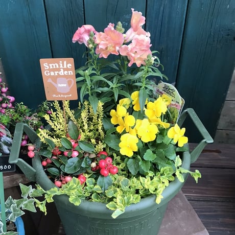 (父の日)季節の寄せ植えstandard