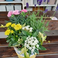 母の月寄せ植えspecial