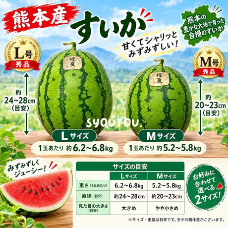 熊本産 煌夏 すいか Ｍ号 5.2~5.8kg  スイカ すいか西瓜 甘い果物 フルーツ