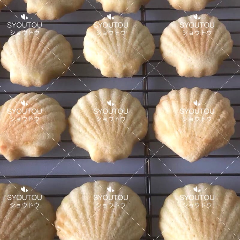 三能ジャパン- マドレーヌ型 貝殻型 SN61055 5個 | SYOUTOU