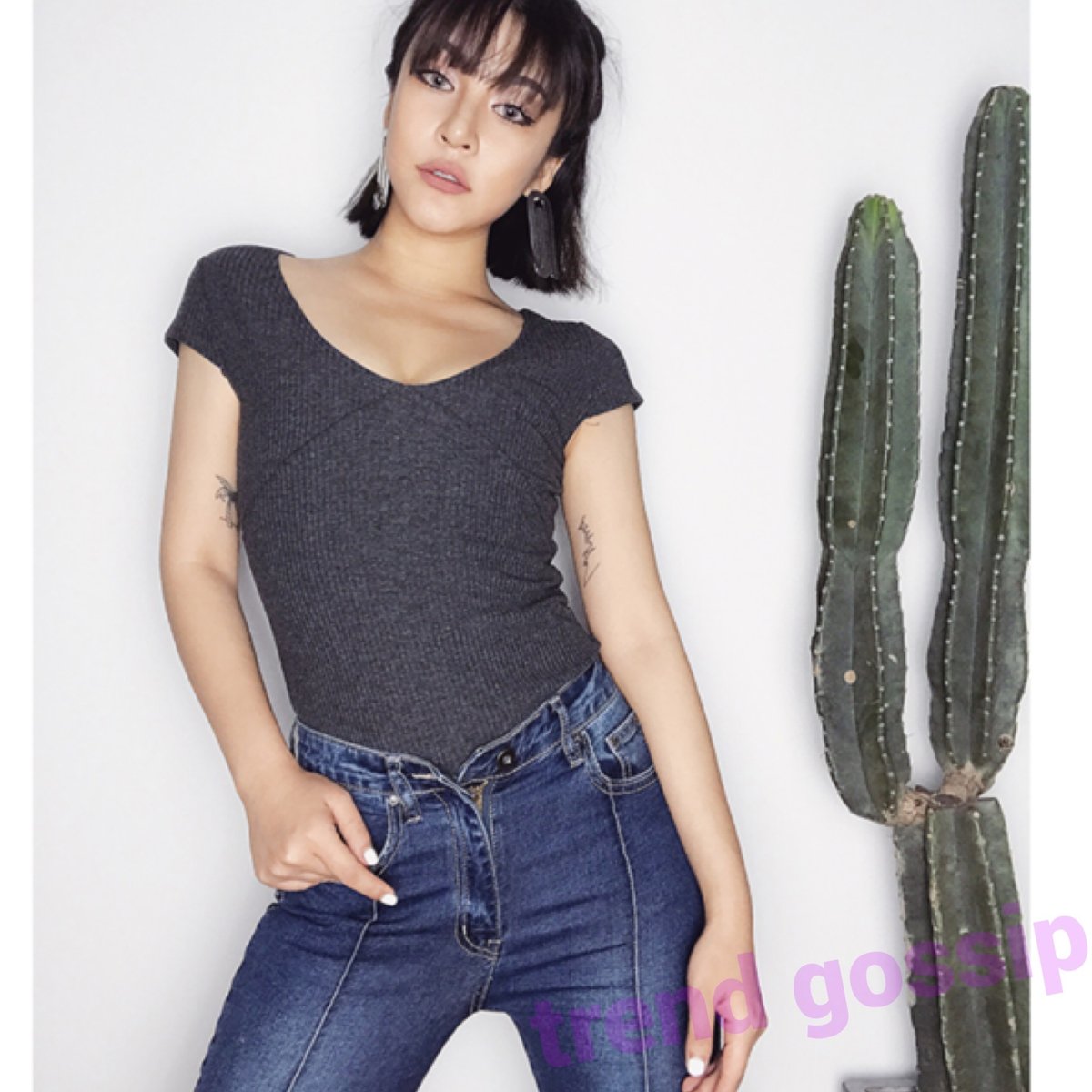 ヒップSTARスキニージーンズ/デニム/2色展開/25～29/2019AW