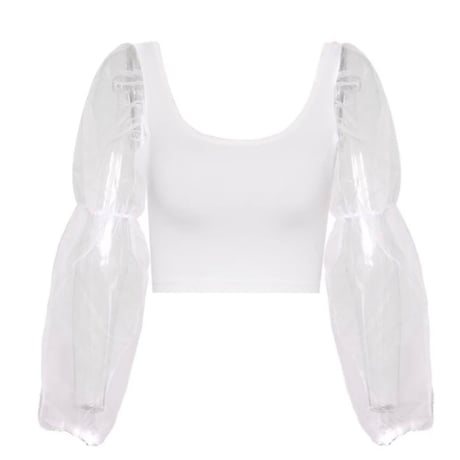 【送料無料】チュールシースルースリーブクロップドトップス/4色展開/S〜 XL/2022SS