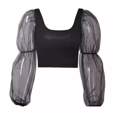 【送料無料】チュールシースルースリーブクロップドトップス/4色展開/S〜 XL/2022SS