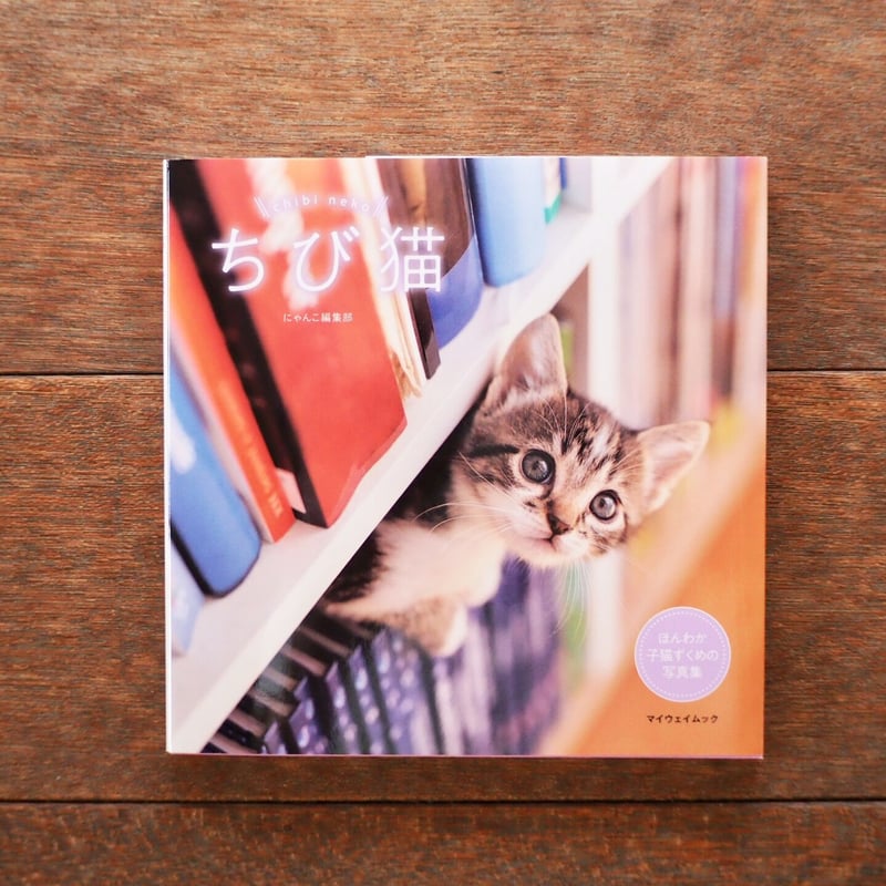 ちび猫※プロフ全文必読※ ちび猫 | こりおり舎