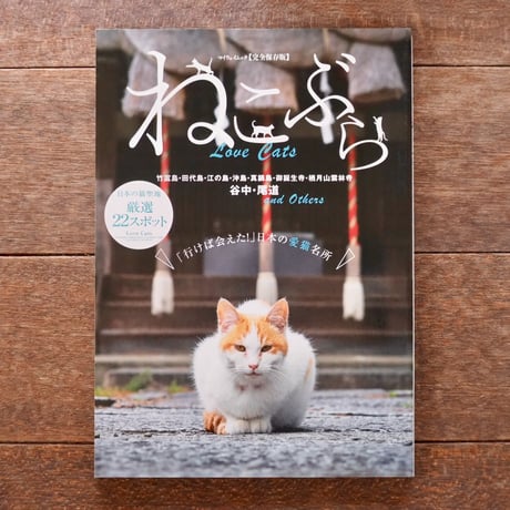 海辺の猫 美しい海と空 猫のいる風景／ねこぶら Ｌｏｖｅ Ｃａｔｓ