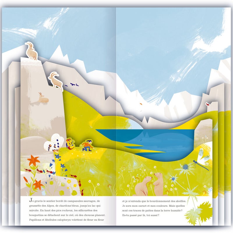 オセアノ号、海へ!／ルー、山へ行く | こりおり舎