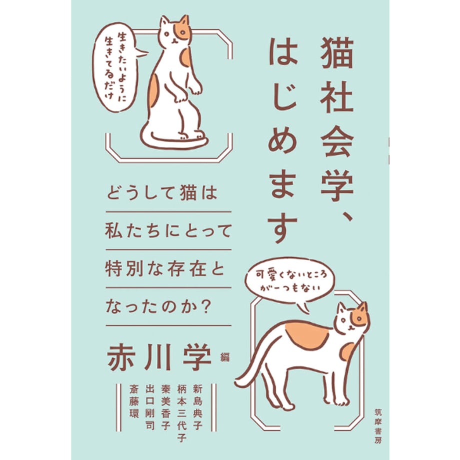 66e04d262fa52a11bcf747e8