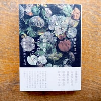 自然をこんなふうに見てごらん 宮澤賢治のことば