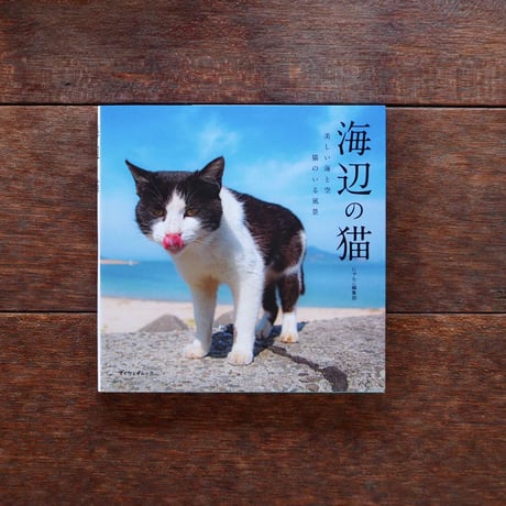 海辺の猫 美しい海と空 猫のいる風景／ねこぶら Ｌｏｖｅ Ｃａｔｓ