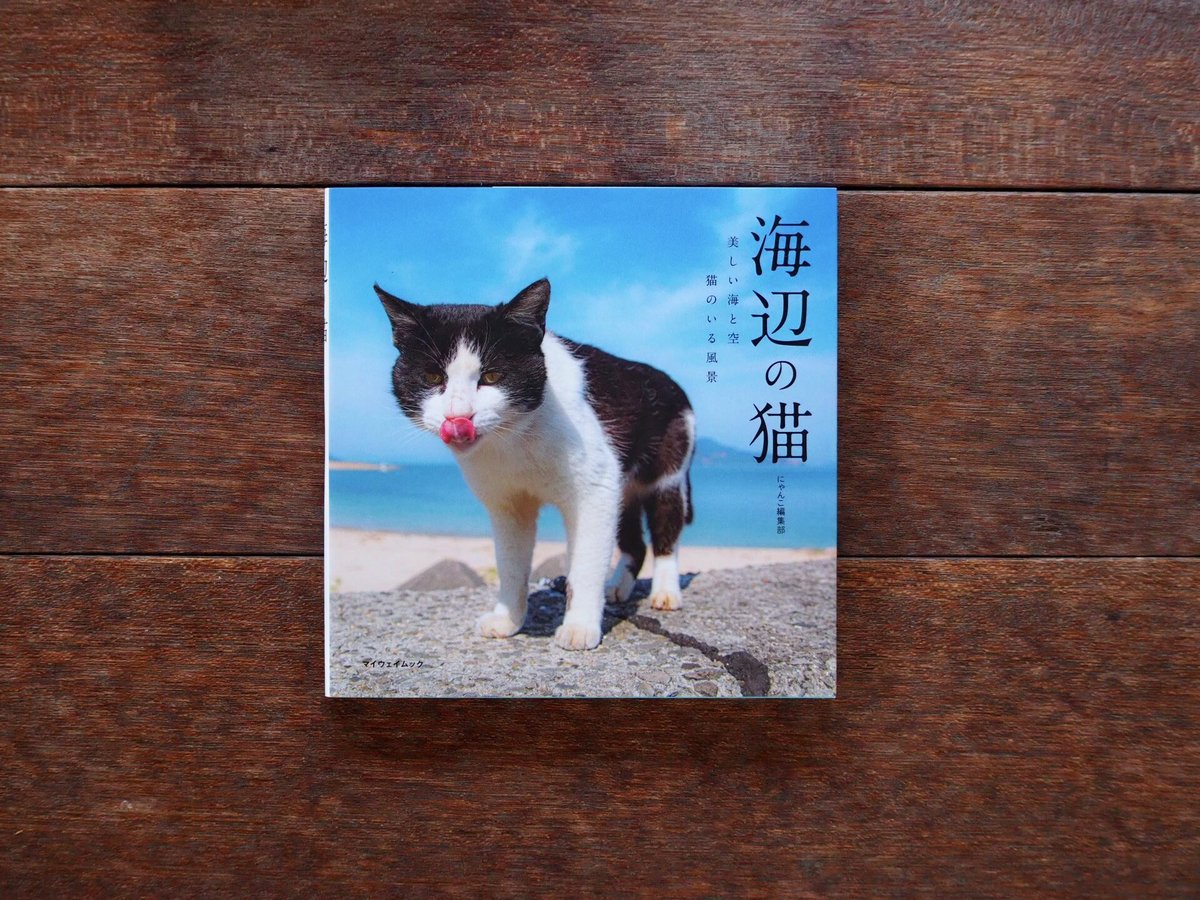 ＊mi._.na＊ ページ 2607-18 海辺の風景 麦わら少女と猫さん fit=scale-down,w=1200
