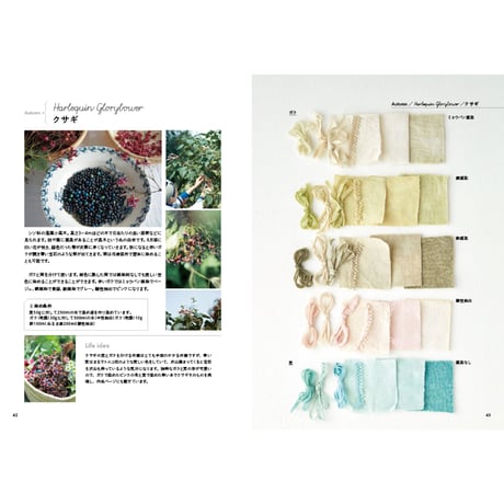 Veritecoの草木染め