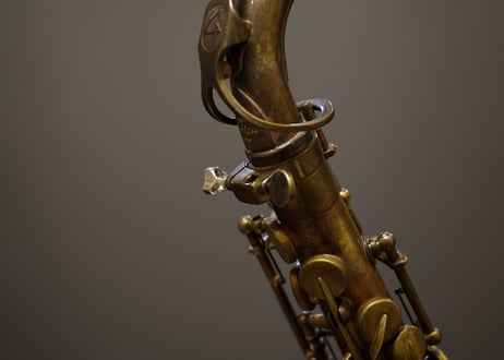 Gottsu SV950 Sax Neck Screw