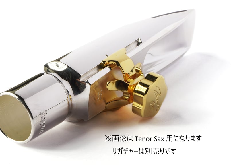 Sepia Tone Jazz Metal Alto | Gottsu Online