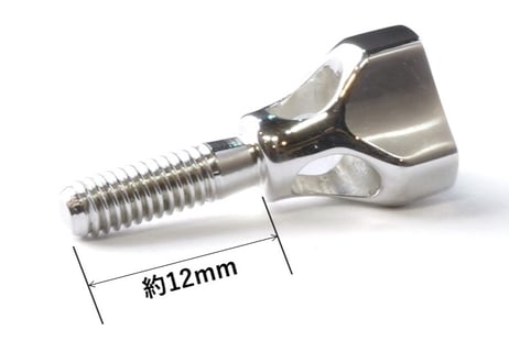 Gottsu SV950 Sax Neck Screw