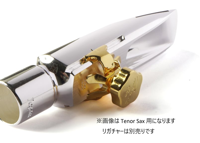 Sepia Tone Jazz Metal Alto | Gottsu Online