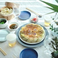 レギュラー餃子100個 (20個×2・30個×2)