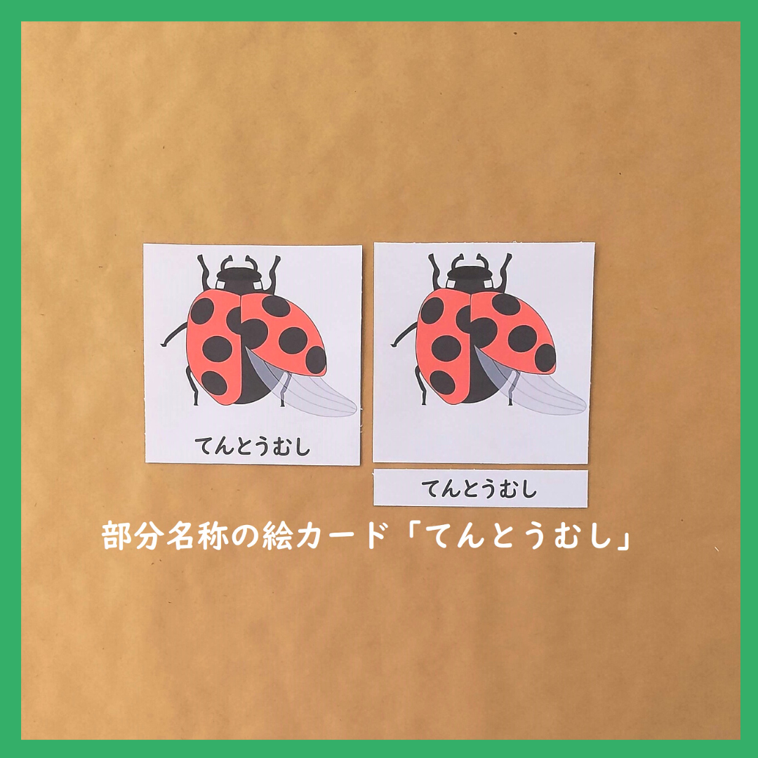 てんとうむしページ fit=scale-down,w=1200