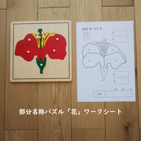 【デジタルデータ】文化教育★部分名称パズル用ワークシート＜花＞