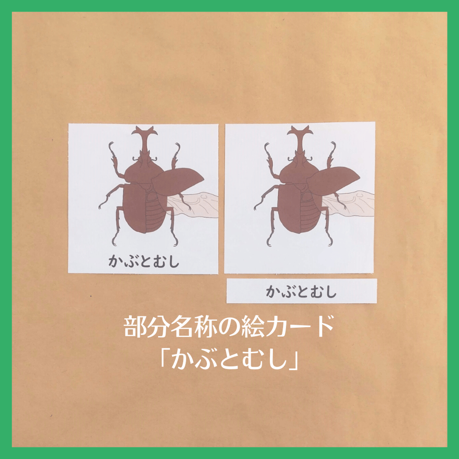 63746076c92c5d6208542c19