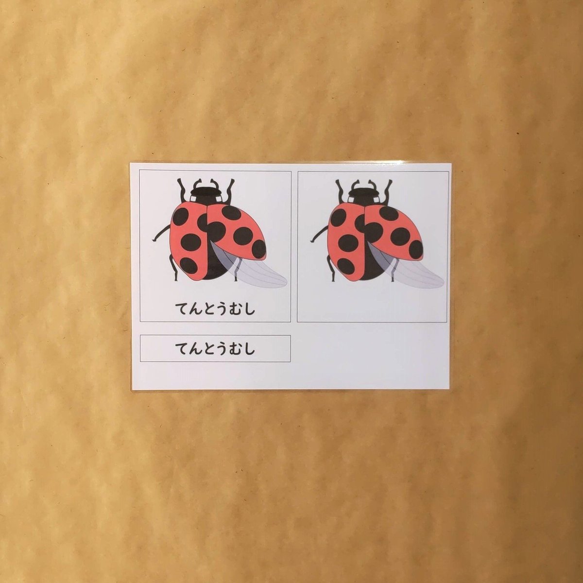 専用品　ウィペット　M てんとう虫　ジャガード fit=scale-down,w=1200