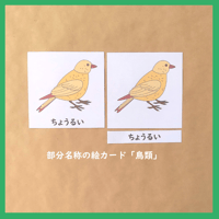【デジタルデータ】「鳥類」の部分名称絵カード★文化教育