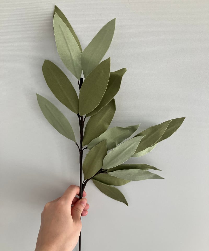 CATEGORY single flower | Lovéco