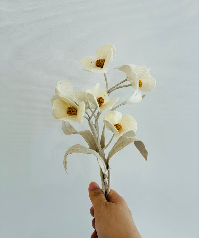 ITEM | Lovéco