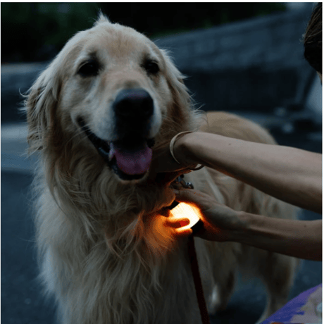 【LED LENSER（レッドレンザー）】ML4 Warm Light