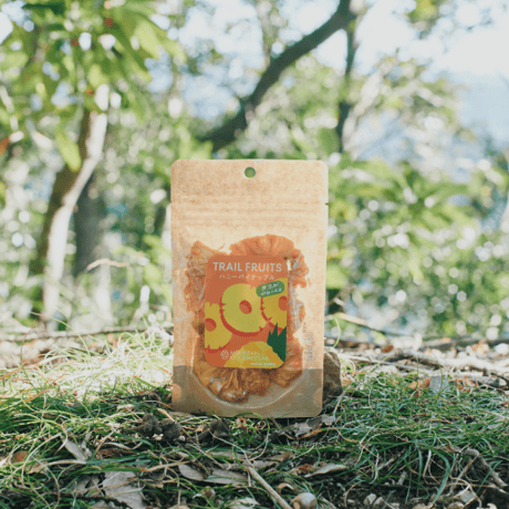 【MOUNTAIN GOURMET LAB.（マウンテングルメラボ）】TRAIL FRUITS ハニーパイナップル